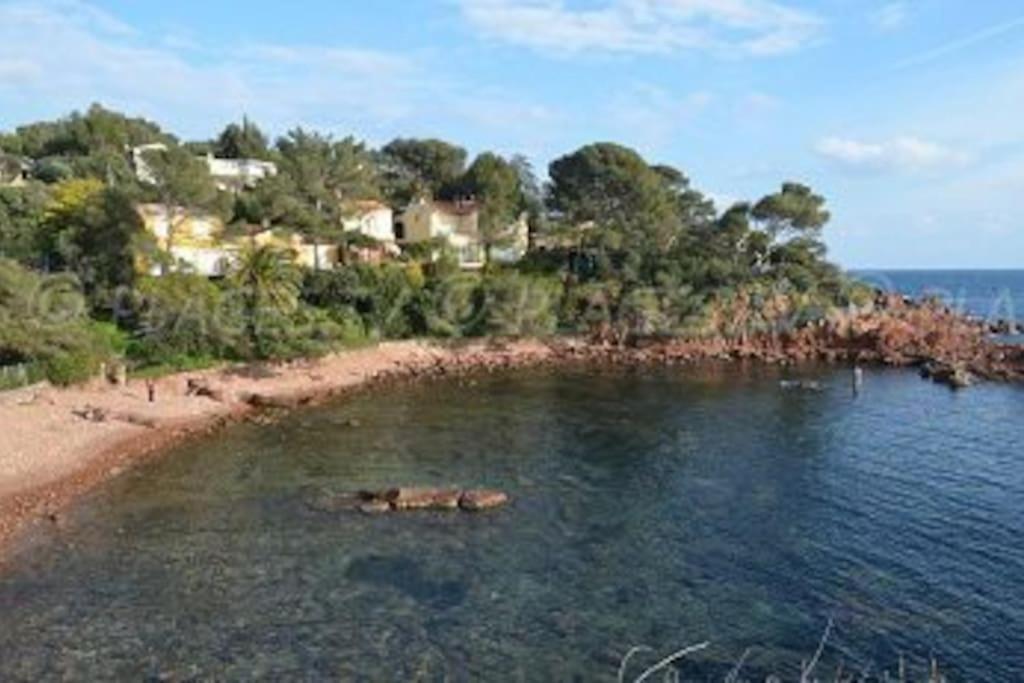 Appartement L'Evasion, Vue Mer, Plages A Pied Fréjus エクステリア 写真